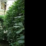 Mariu