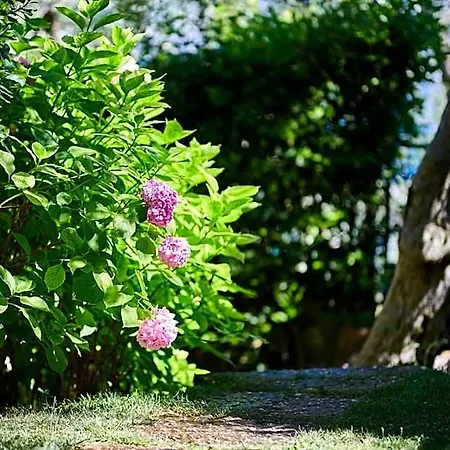Mariu Apartmanhotel Malcesine