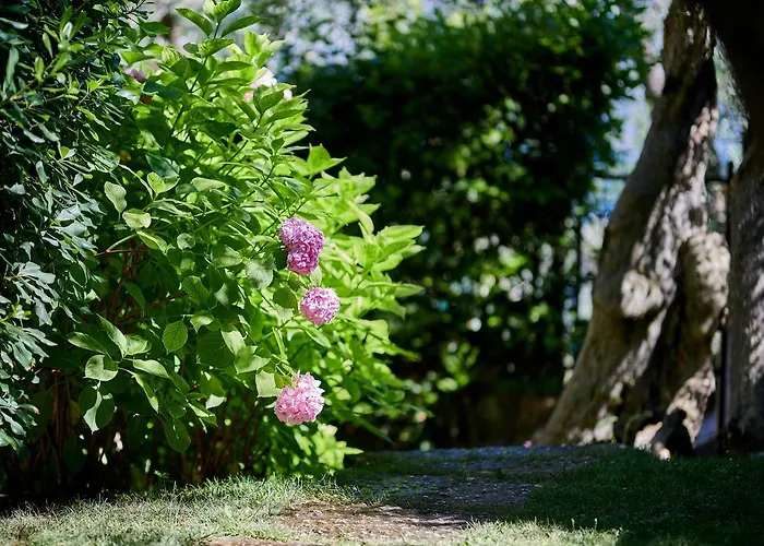 Mariu شقة فندقية 3*